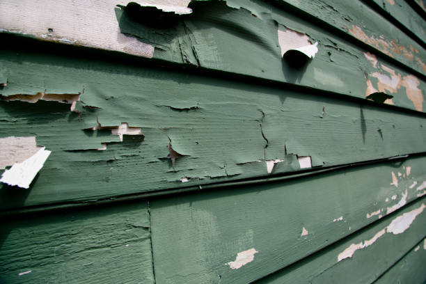 Best Siding Removal and Disposal  in Shaker Heights, OH